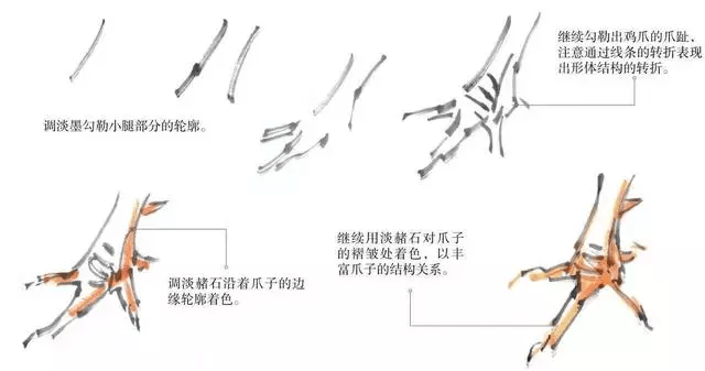 鸡爪的画法公鸡头的画法