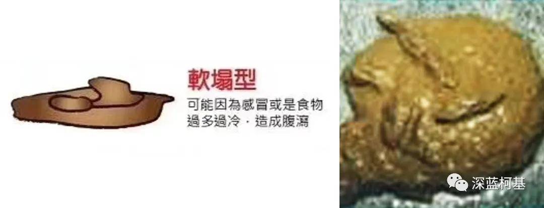 狗狗便便判断健康状态,有图-吃饭时勿进