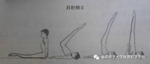 B体育体操基本动作讲解(图6)