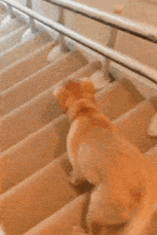 原创搞笑gif段子美女你笑得好邪恶啊