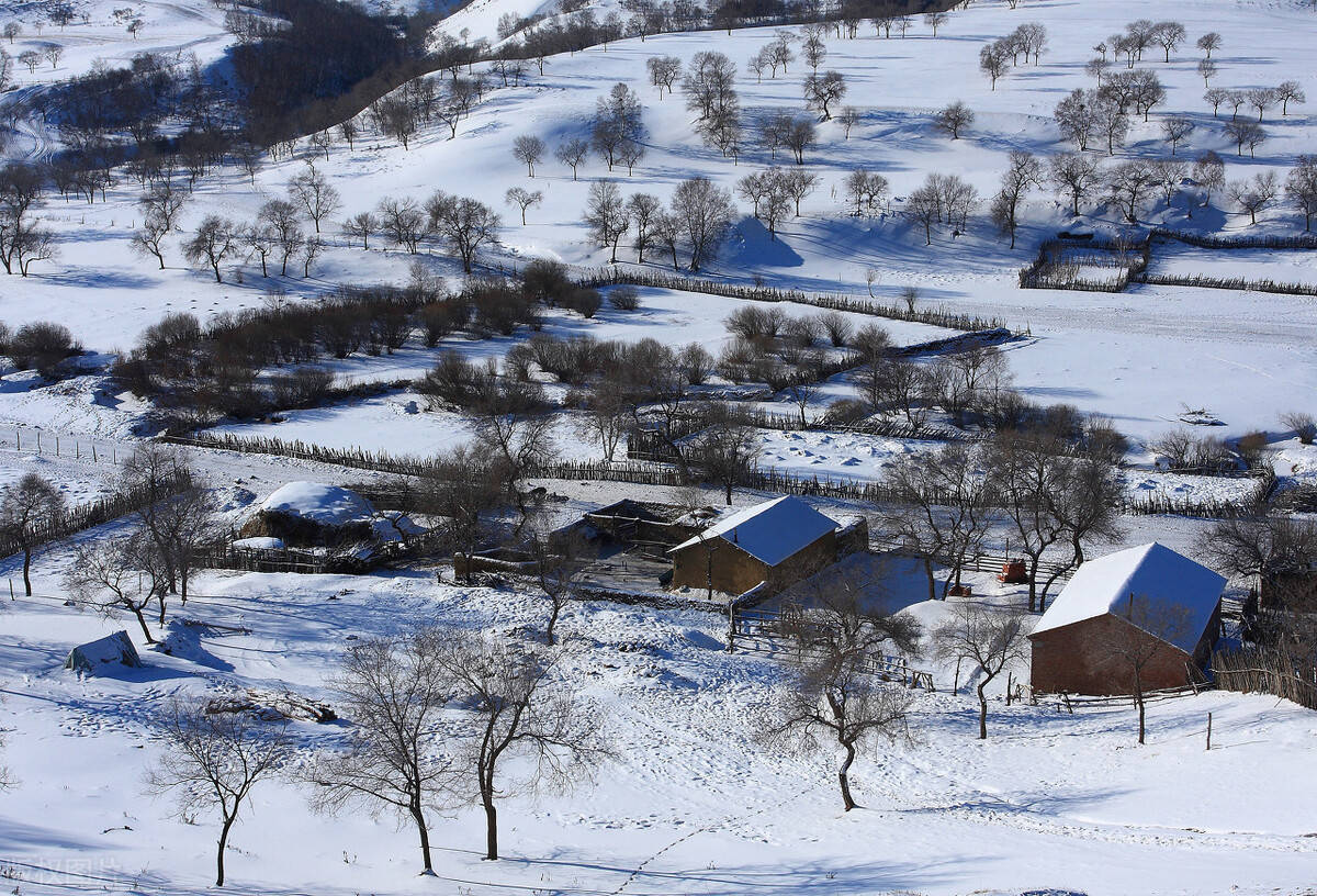 北方农村常说"雷打雪,遍地贼",这句话啥意思?有道理吗?