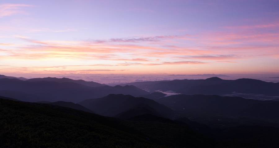 家电线上线下同价2021年将全面落地-家电圈官网