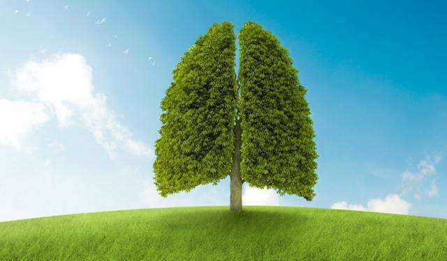 什么时间开始白天长夜晚短 3966fdc4317244689962739b838da063.jpeg