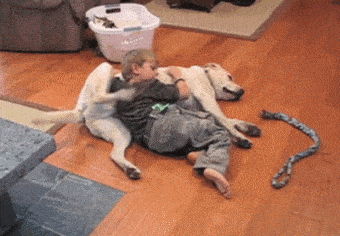 原创搞笑gif段子:美女力气真大啊.