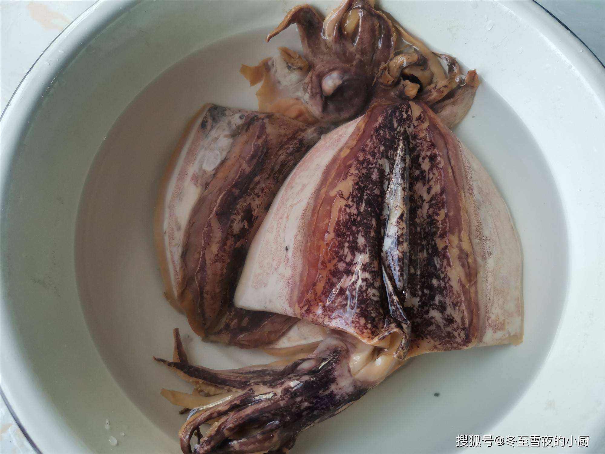 鲜炒墨鱼怎么做_鲜炒墨鱼的做法_豆果美食