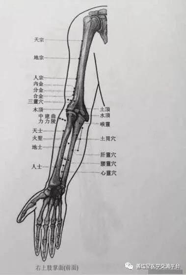 董氏奇穴史继霞董针穴位喉灵穴位置及主治功能