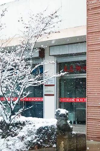 枣庄学院:定格银装枣院