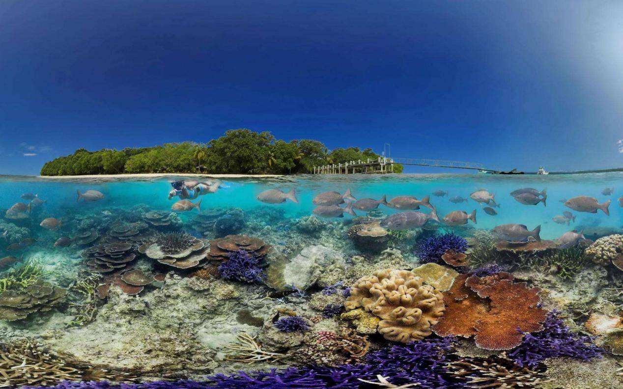 汉德欧瓦努阿图护照—最快30天拿护照，零税天堂
