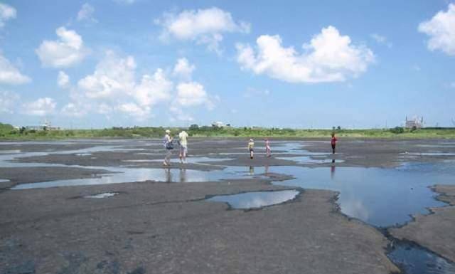 全球最大沥青湖没有一滴水，沥青足以开采273年?，还有动植物化石