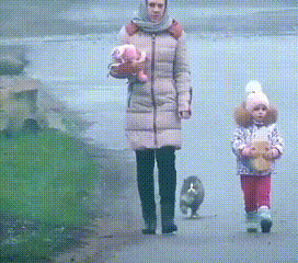 原创搞笑gif段子:(3)为灵活的小妹子点赞!