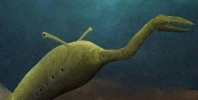 蛇是脊椎动物还是不是脊椎动物 f11eec2d41da45deaf98e2aed8d14057.png