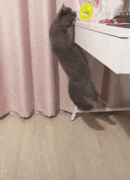 gif搞笑趣图:姑娘,还是换个男朋友吧!这样太不安全了!