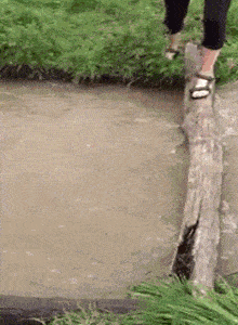 搞笑gif段子:你还是另找出路吧,小心冲跑了_手机搜狐网