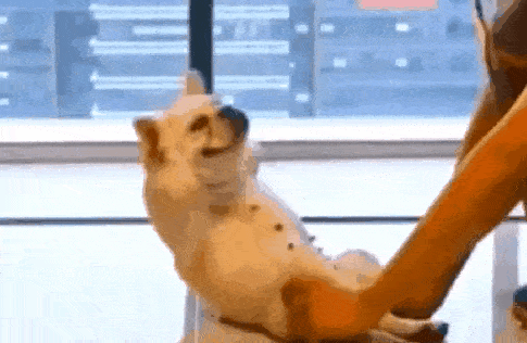 搞笑gif段子:5,妹子我感觉你要非礼我这妹子要干啥难道她看上我了我该