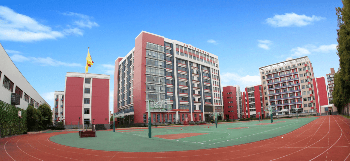 全国重点小学排名_2020上海重点民办小学排名