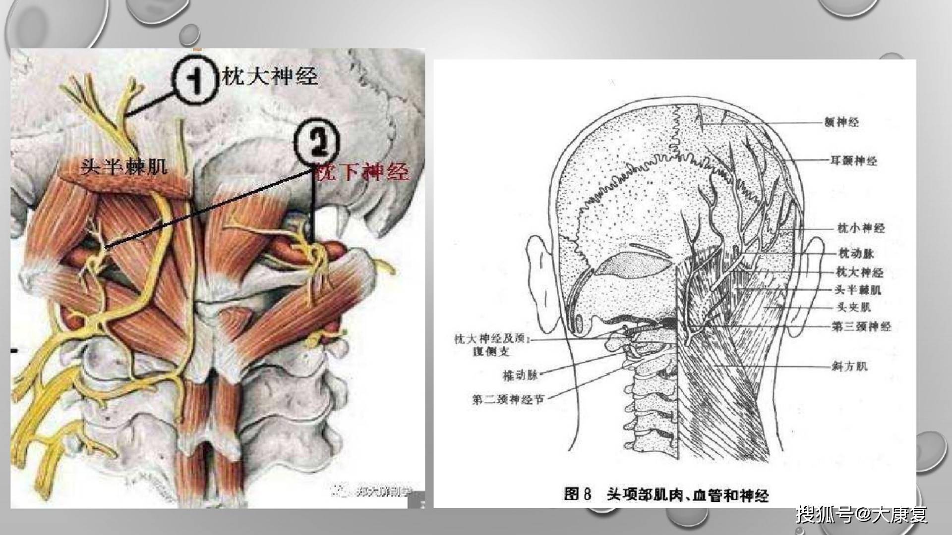 宣蛰人压痛点强刺激推拿法