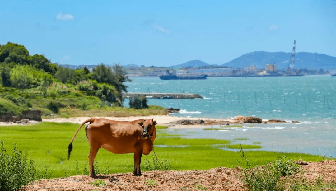 乘上最美高铁来平潭，看离岛绝胜渔家风光吧！