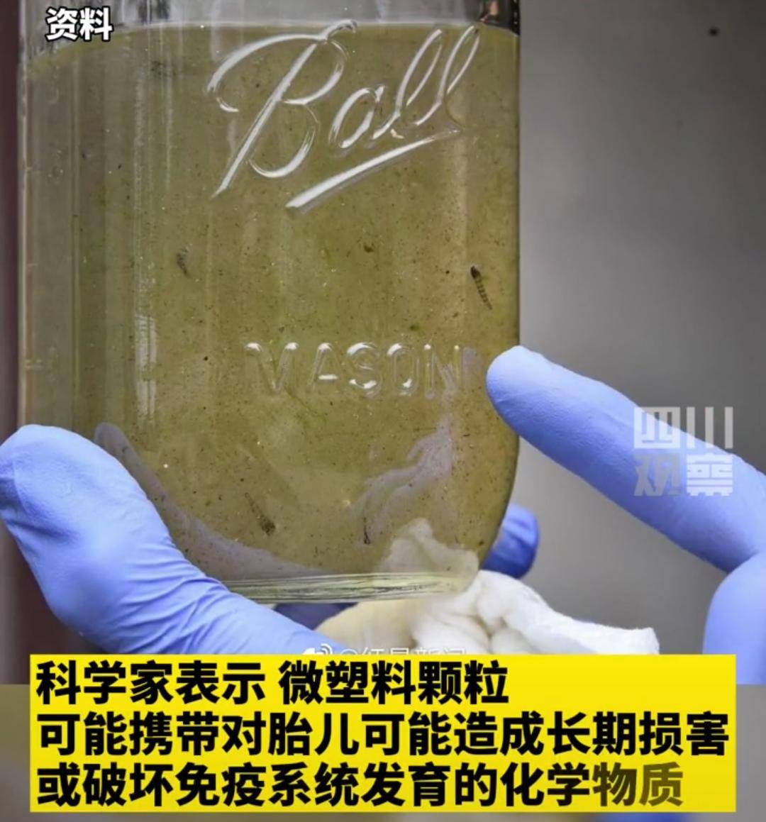 害怕,塑料开始龙八国际登录“入侵”人类胎盘
