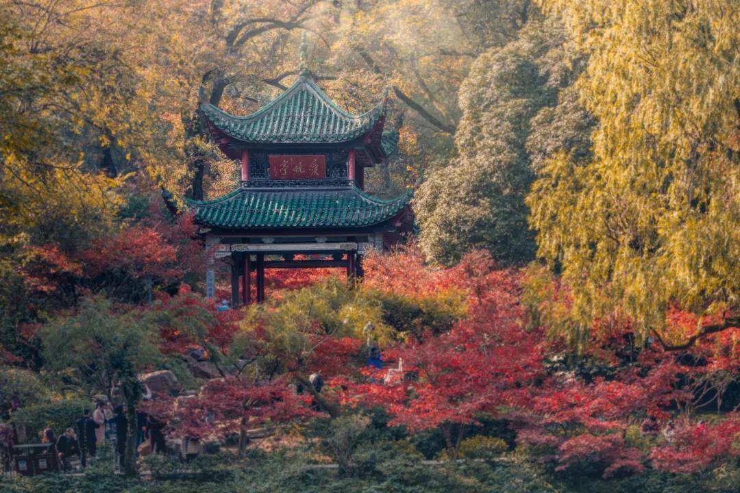 一座岳麓山，半部湖南史_岳麓书院
