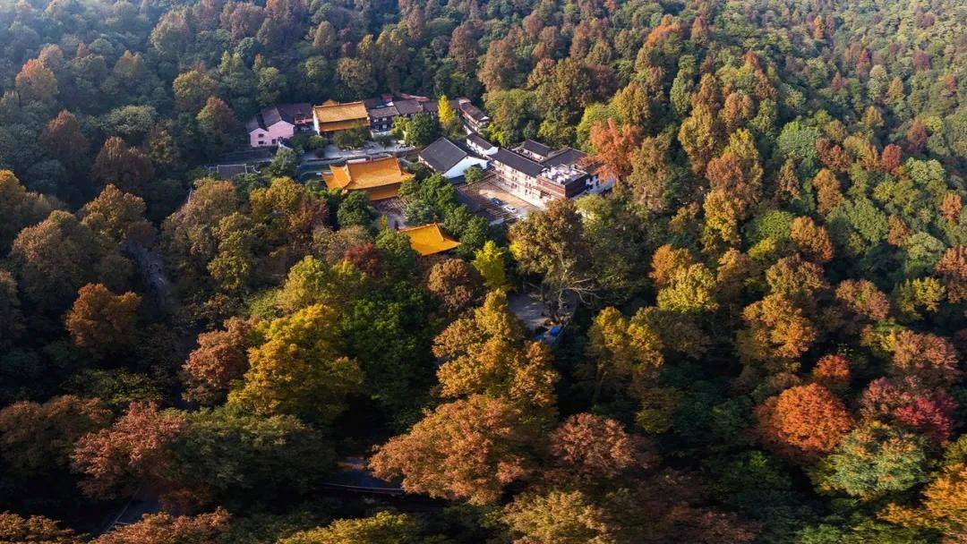 一座岳麓山，半部湖南史_岳麓书院