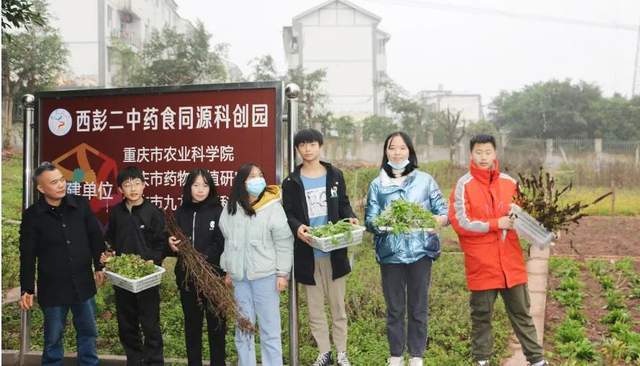 西彭二中围绕全区教育"五五行动 聚焦"五大名片,着力打好"特色"牌