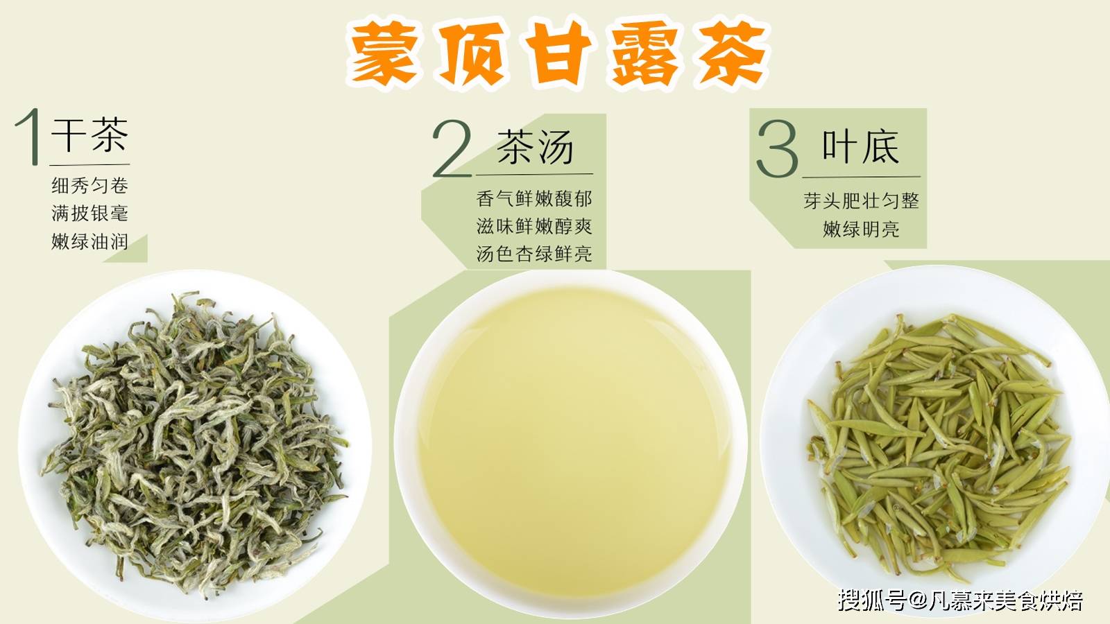绿茶有哪些品种（绿茶有哪些品种好喝）