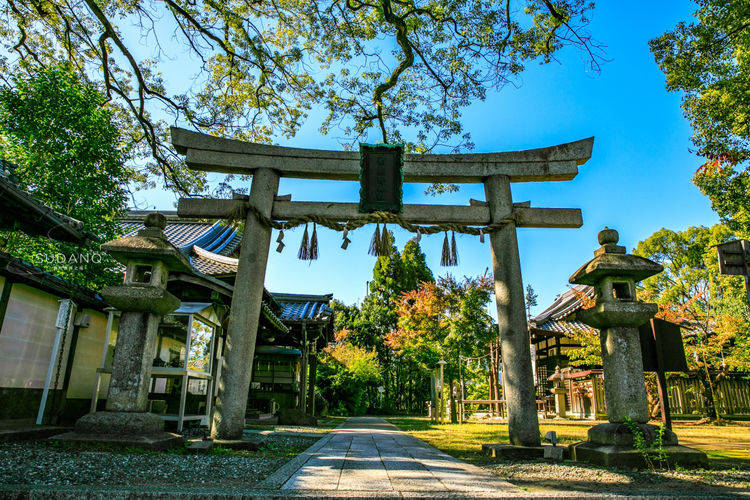 日本冷门景点推荐：京都新熊野神社，在日本人眼里万物都是神灵