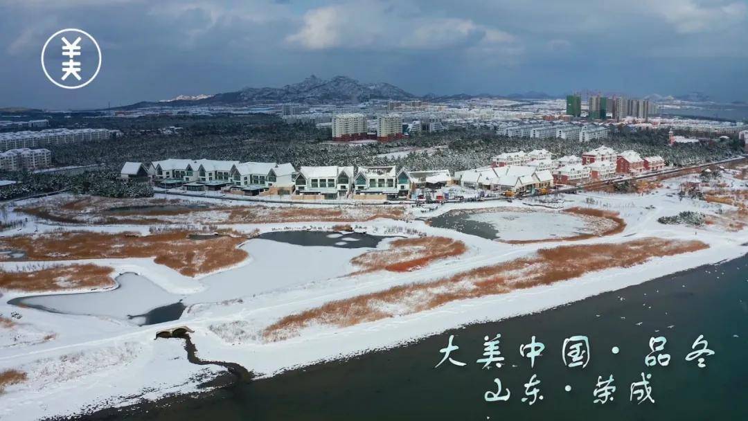 天鹅沐雪 遇见荣成冬日之美