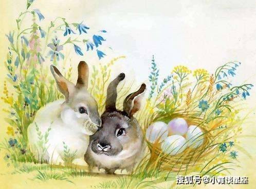 d51b57e573db49358ff17bf169709590.jpeg