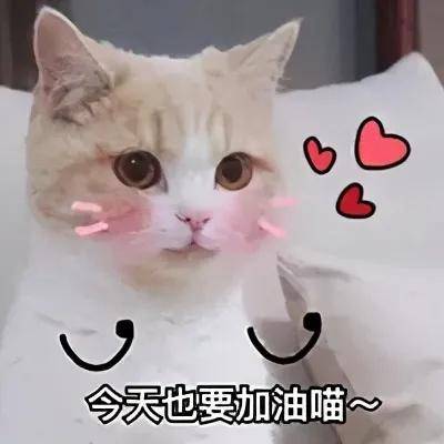 16a74b6382794ecbb7a8572e8aff2d0d.jpeg