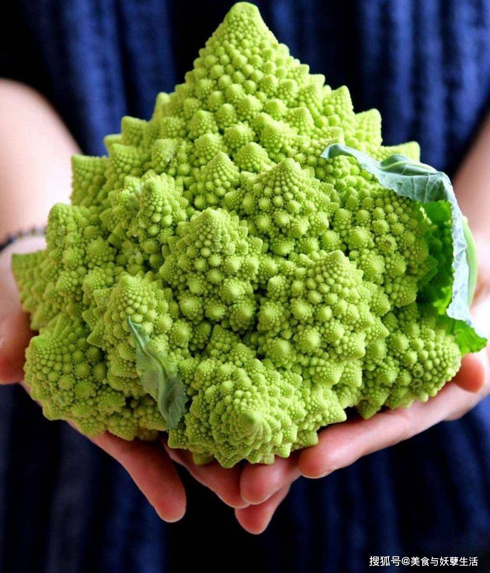 啥叫有机花菜 57b28289542940dbb8a0dcdd89f9951b.jpeg