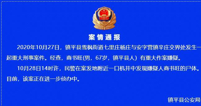 七里庄人口_人口普查(2)