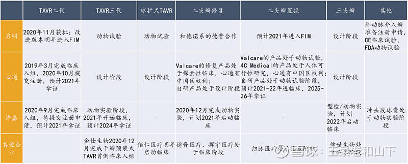 深度解析：微创心通，未来还有多少增长空间？