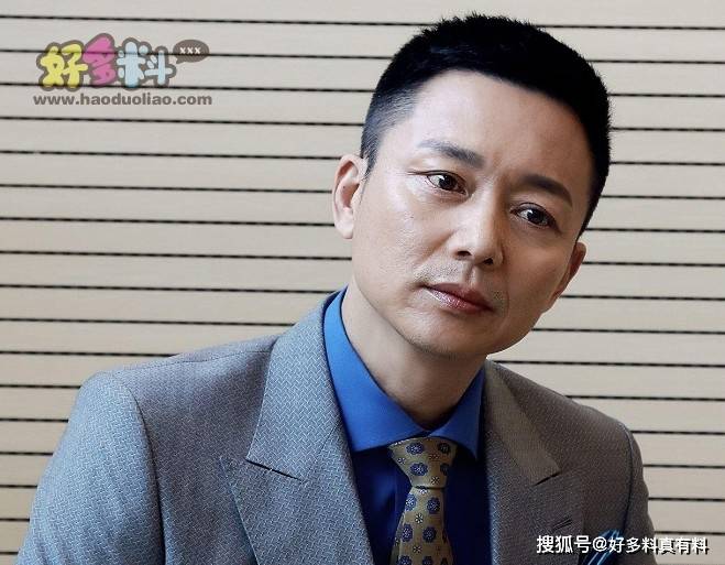 原创刘奕君和段奕宏长的像吗,两位用实力征服了诸多观众