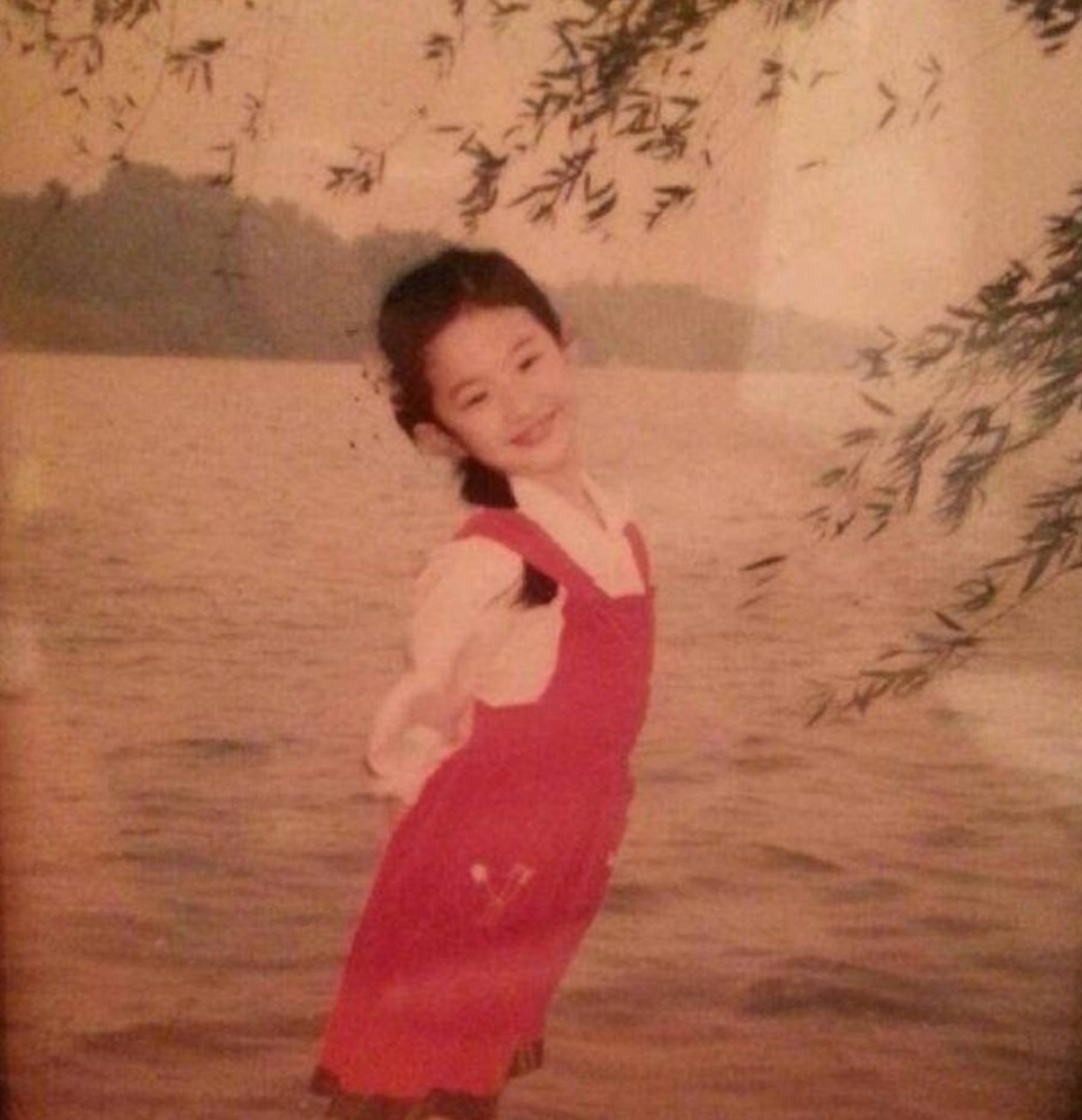 刘亦菲隐藏多年的妈妈原来是功夫之王里的她难怪不愿公开