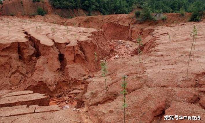 河南首现稀土矿 钨钼资源增量保持全国前列