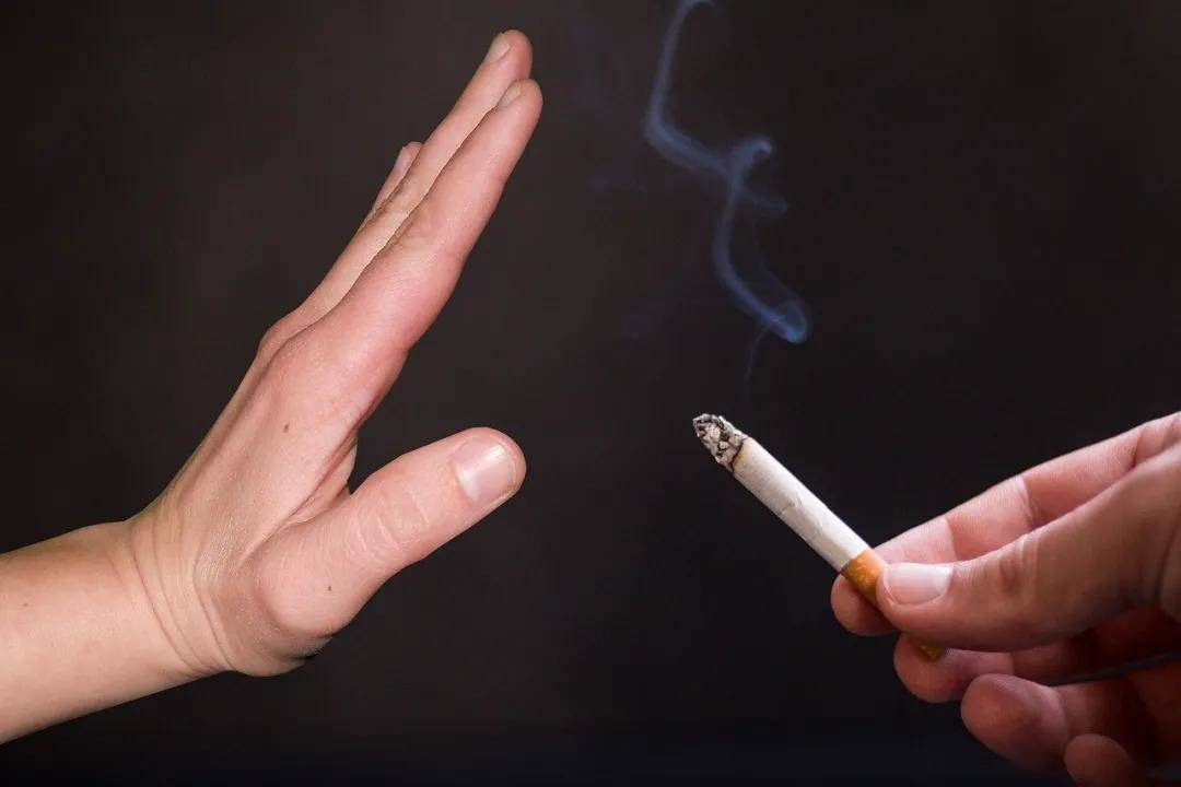 人口堵塞_血管堵塞图片(3)