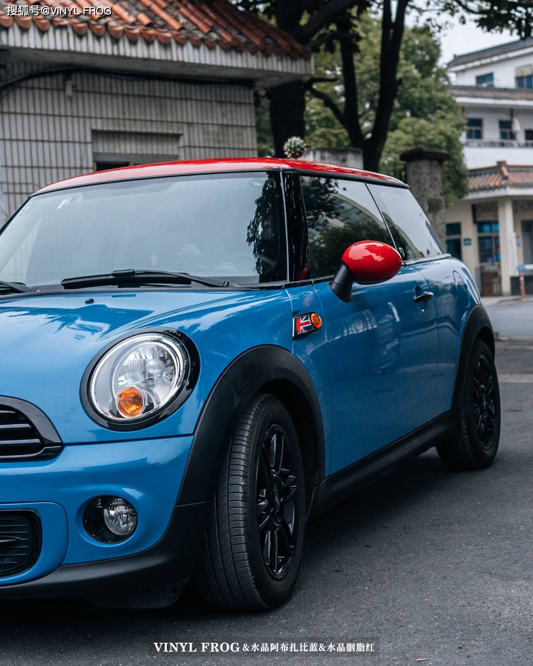 mini改色vinyl frog阿布扎比蓝和胭脂红