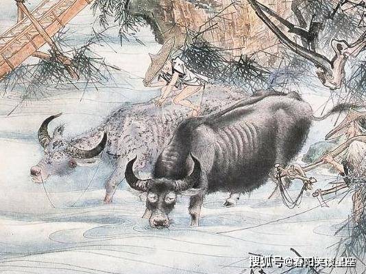 青出于蓝指什么生肖，立刻揭晓落实