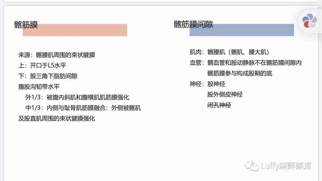 髂筋膜间隙阻滞