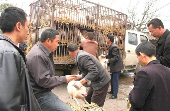 93c84f16b0b74a17af5931af159c3d54.jpeg
