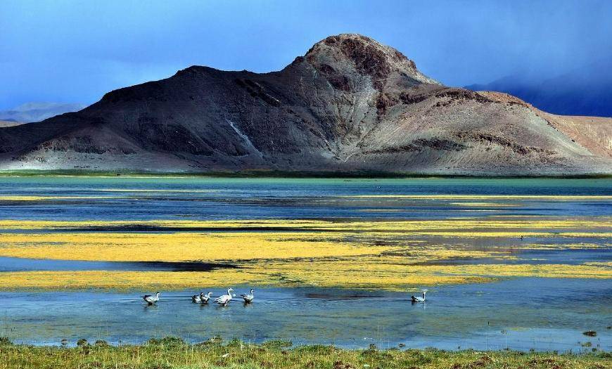 我国第二大咸水湖，是西藏第一大湖，却因面积扩大导致环境问题