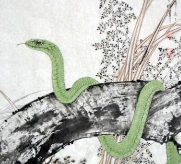 蛇属相配什么在一起好 a058287f27ad4376884e3a4aad63dfac.jpeg