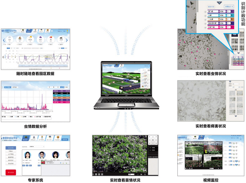 托普云农病虫害监测预警系统助力病虫害监测预警步入大数据时代