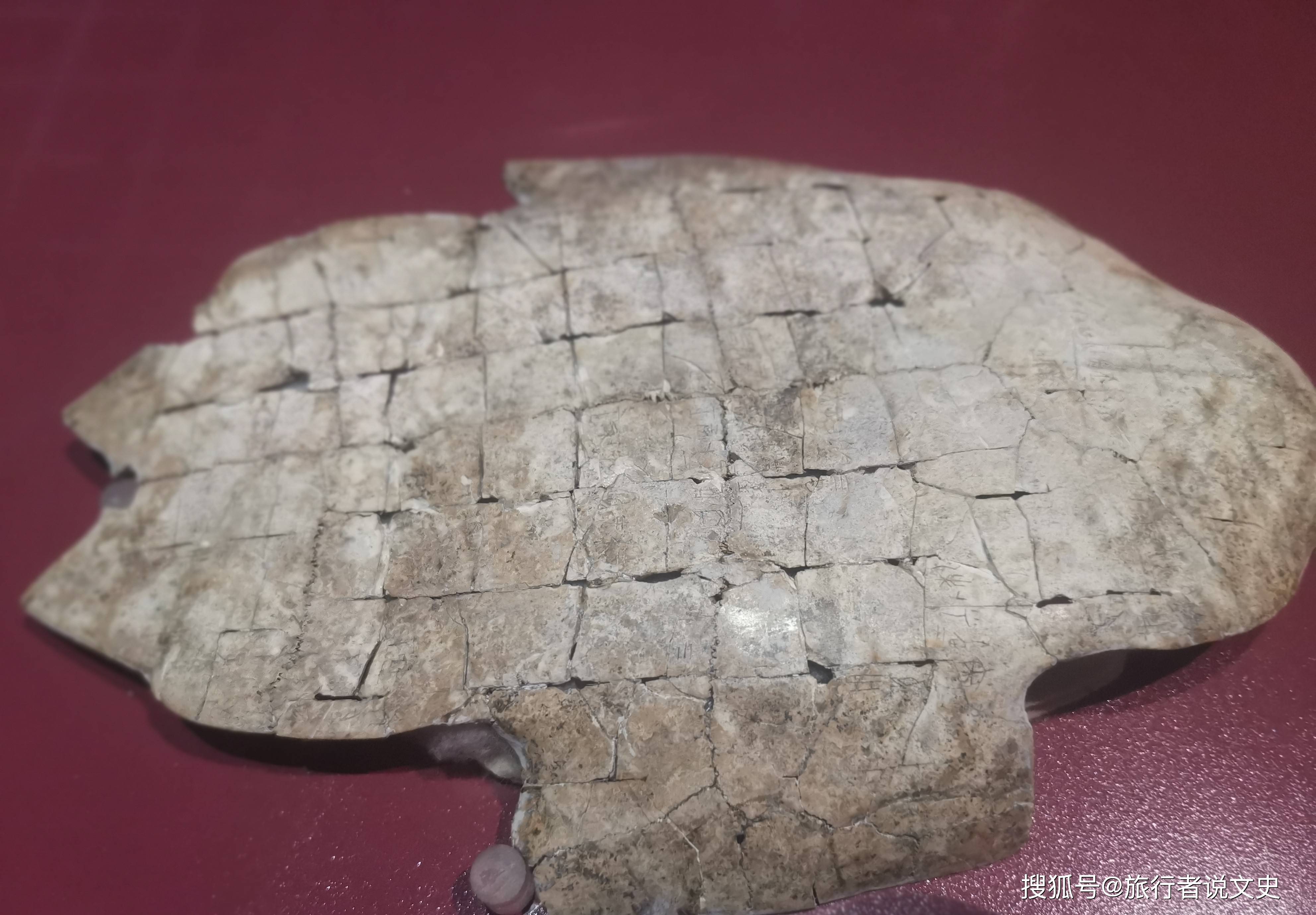 一片甲骨惊天下