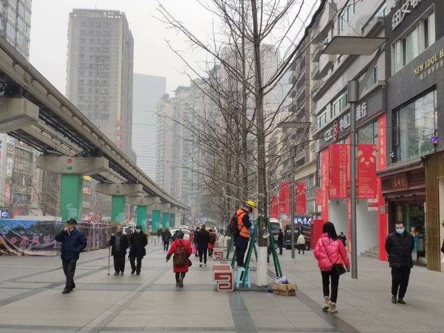 挂在树上的彩灯价格 776e1d91924e4d939409c414d423c9bc.jpeg