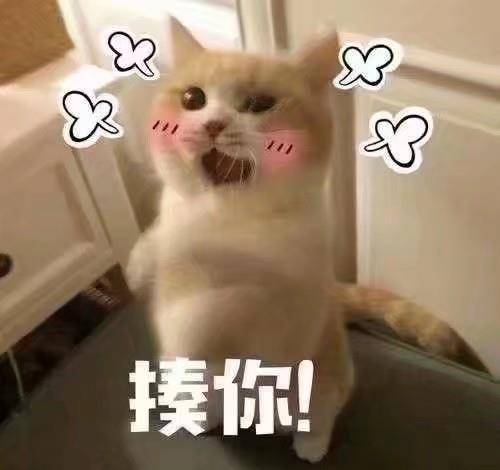 a7acd0795ae2404e860319ef6b3d6ea6.jpeg