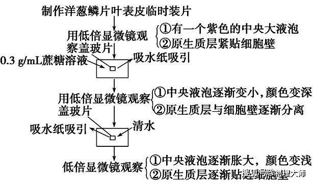 实验原理主要写什么作用_我是少年主要写什么