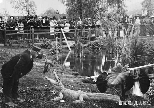 印尼女子惨死鳄鱼之口,很多鳄鱼死在女人之手