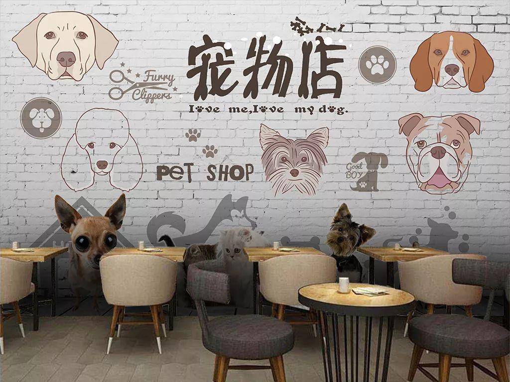 新手如何开一家宠物店,到底赚不赚钱?